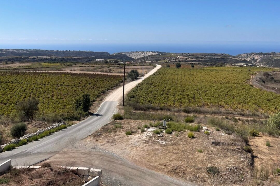 1200 img 5651 cr word3 Five Cypriot Wineries to Warm Up Your Winter
