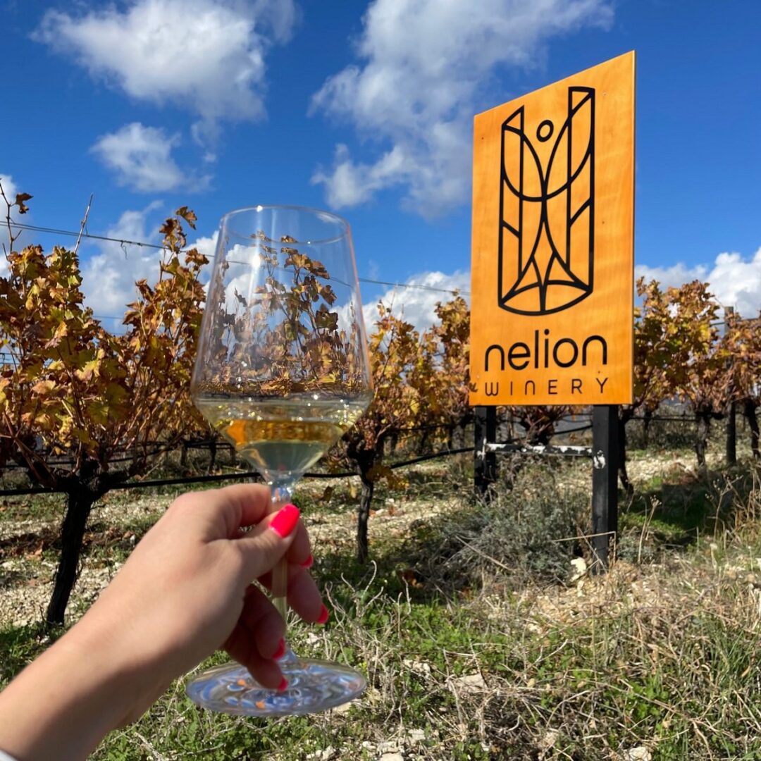 1200 img 6742 word3 Five Cypriot Wineries to Warm Up Your Winter