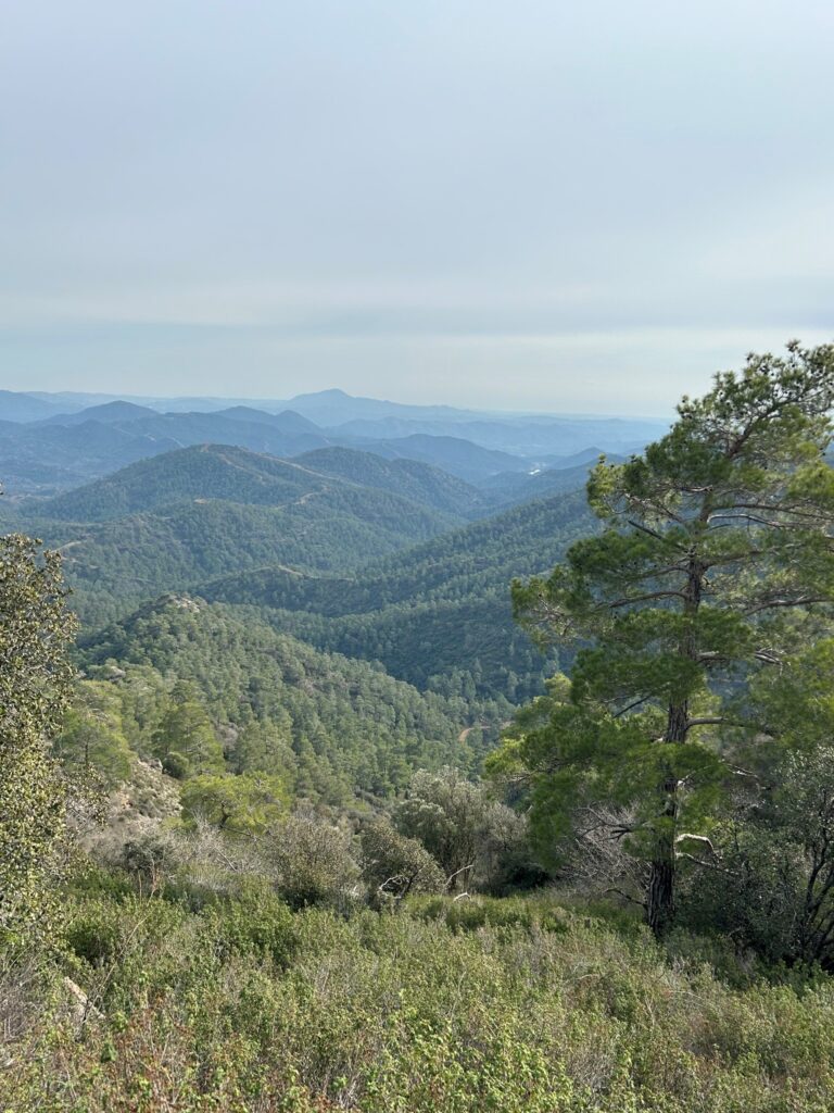 Photo: Cyprus Hikers