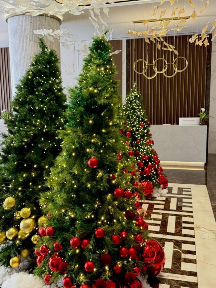 588701993 18541241284061298 2769148134488091699 n word3 11 Hotels in Cyprus for a Dreamy Christmas Stay