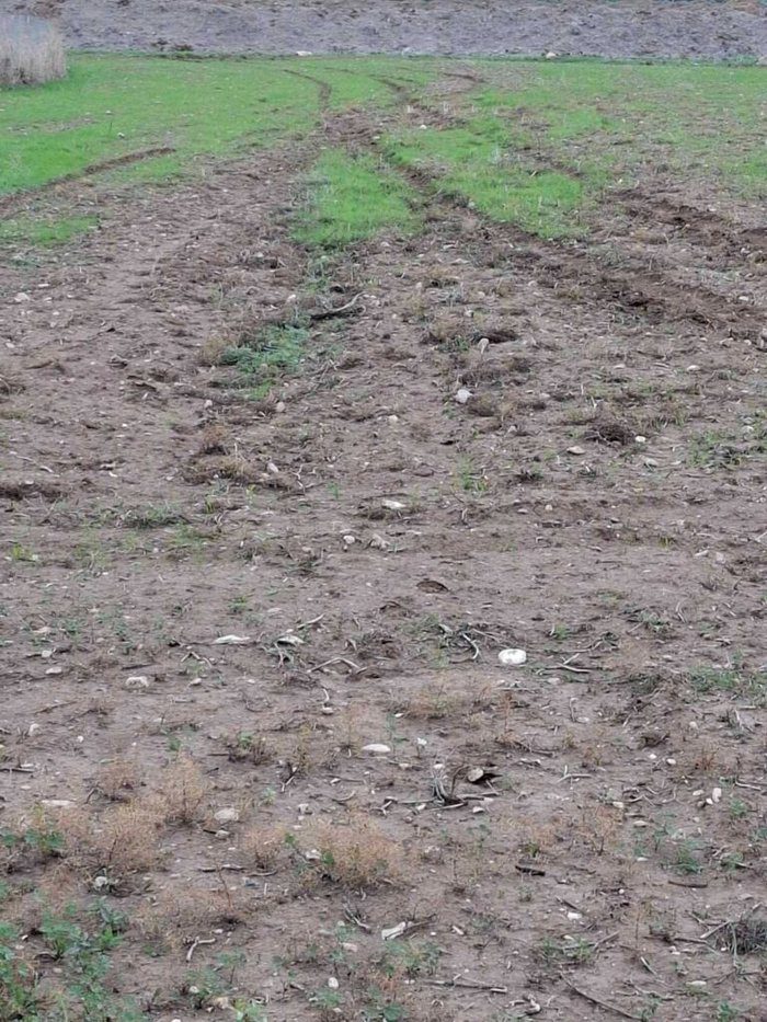 graphic Paphos poaching chase involves forestry officials
