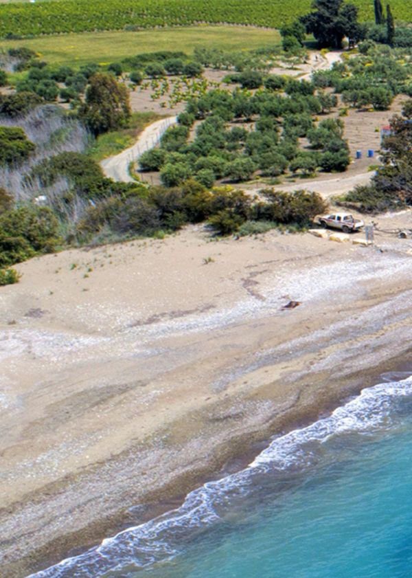 Photo of Walking the Nature Trail in Pissouri
