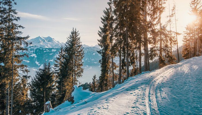 graphic TROODOS First Ski Slope Opens Cyprus Ski Enthusiasts Try