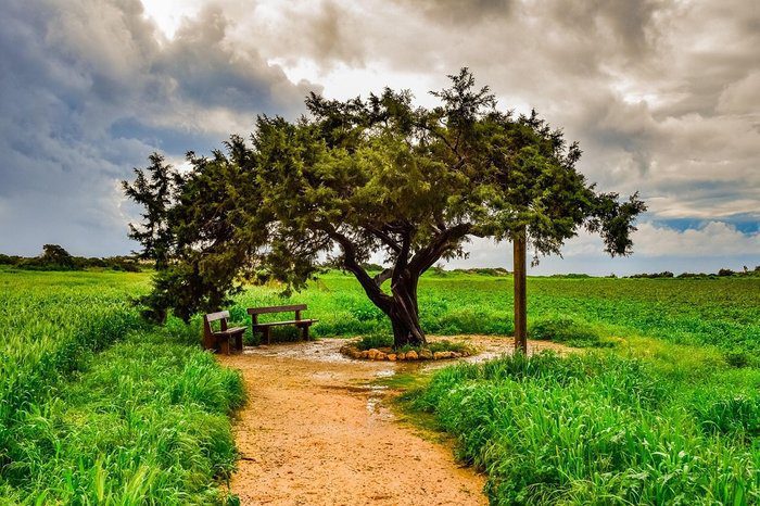 φωτό Ο Μοναχικός Αόρατος του Κάβο Γκρέκο - Εκεί όπου η σιωπή παίρνει μορφή
