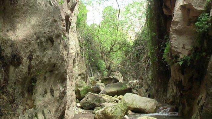 photo Storm byron closes avakas gorge forestry department updates